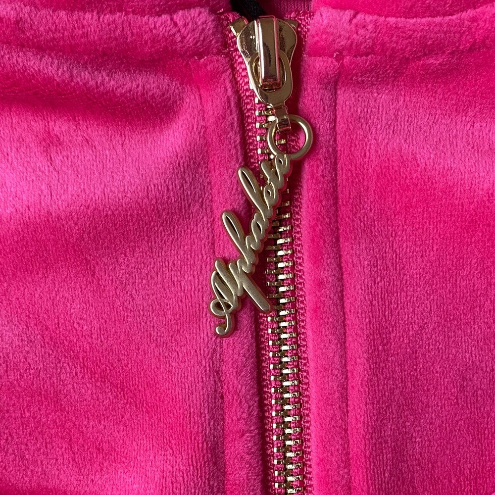 VELOUR ZIP HOODIE - Picture 6 of 13